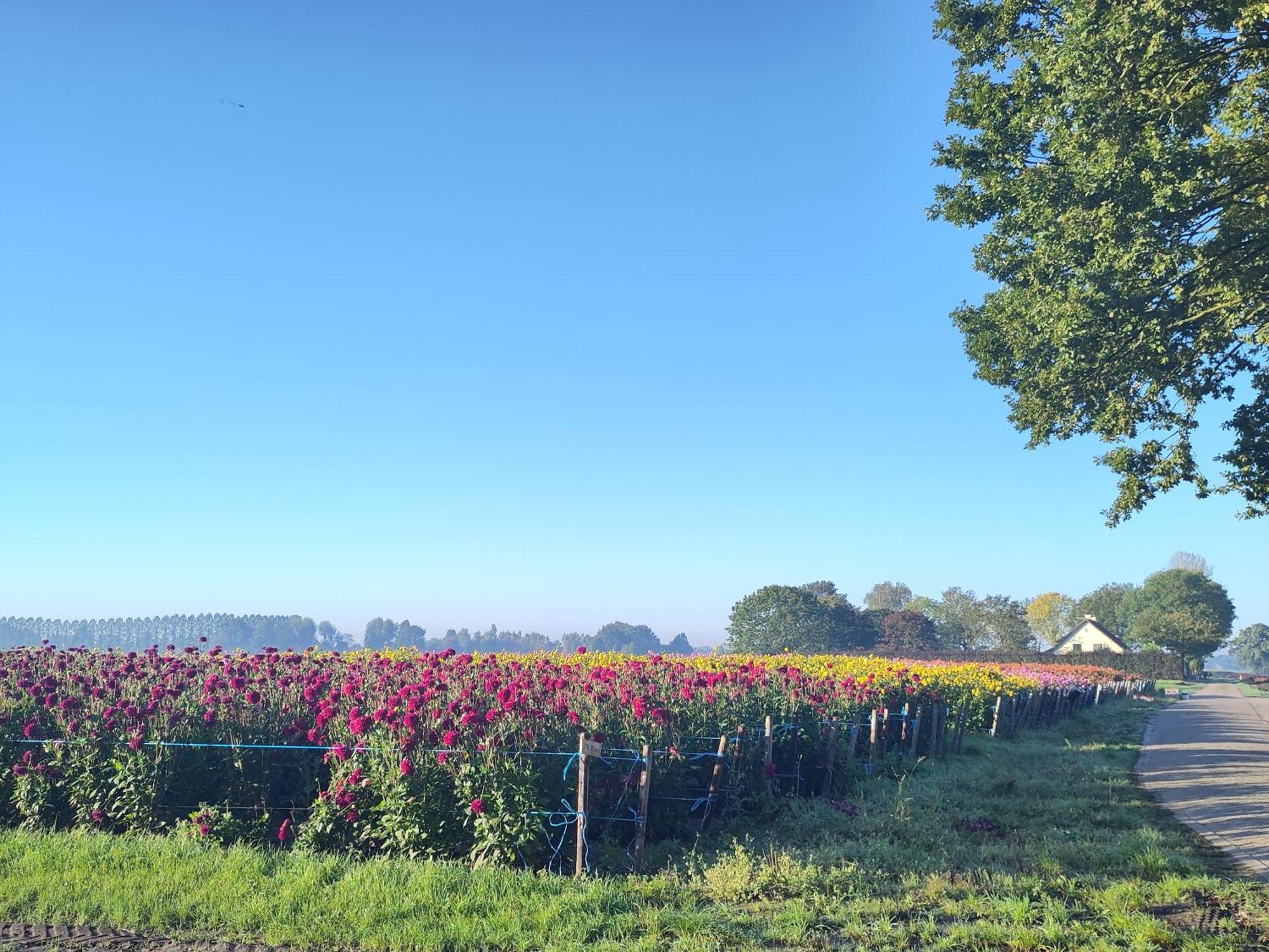 'T Voske Bed and Breakfast Zundert Exteriör bild