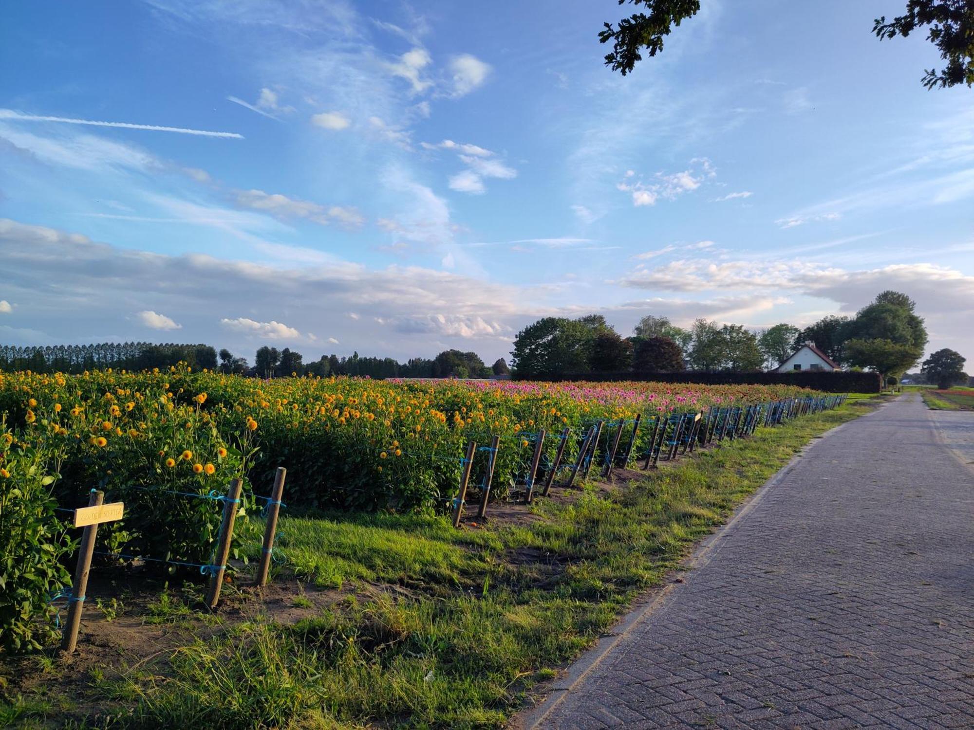 'T Voske Bed and Breakfast Zundert Exteriör bild