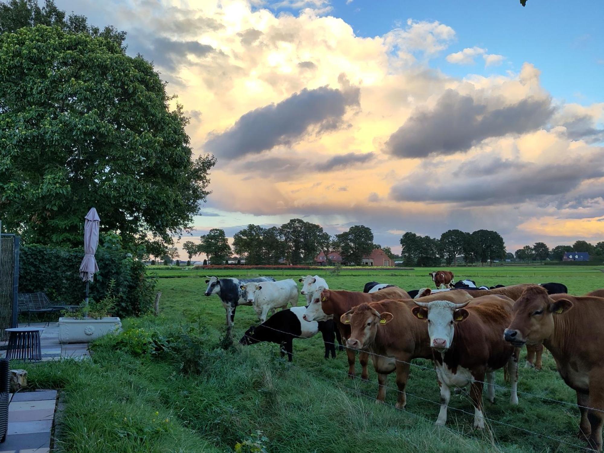 'T Voske Bed and Breakfast Zundert Exteriör bild