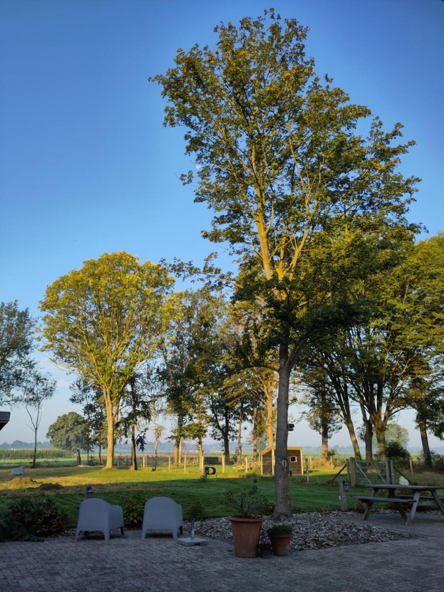 'T Voske Bed and Breakfast Zundert Exteriör bild